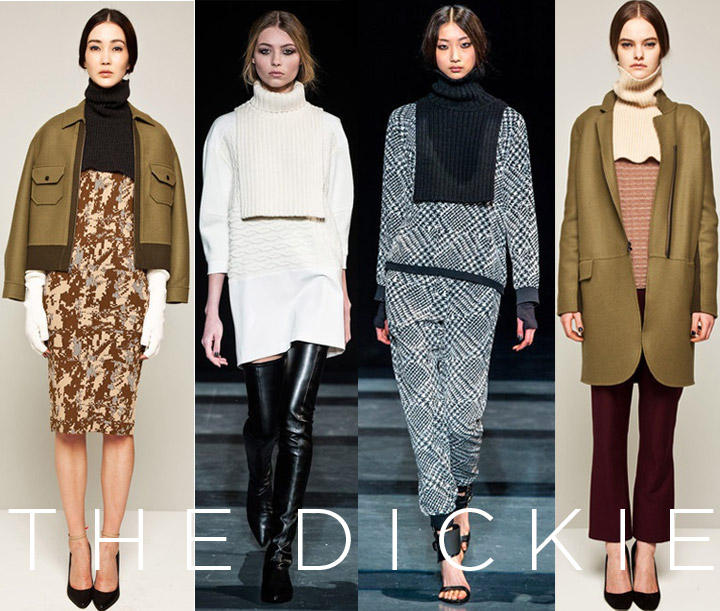 Fall 2013 NYFW Trend: The Dickie M.Patmos, Tibi